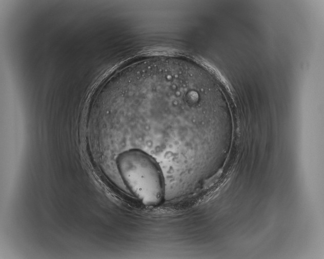 X0000116310529200912071310