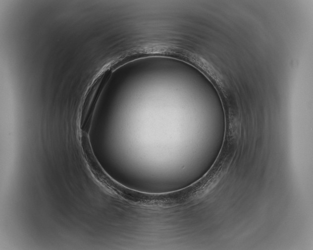 X0000116310530200912071310