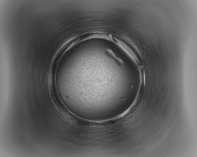 X0000116310531200912071310