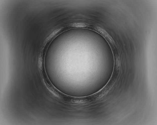 X0000116310533200912071310