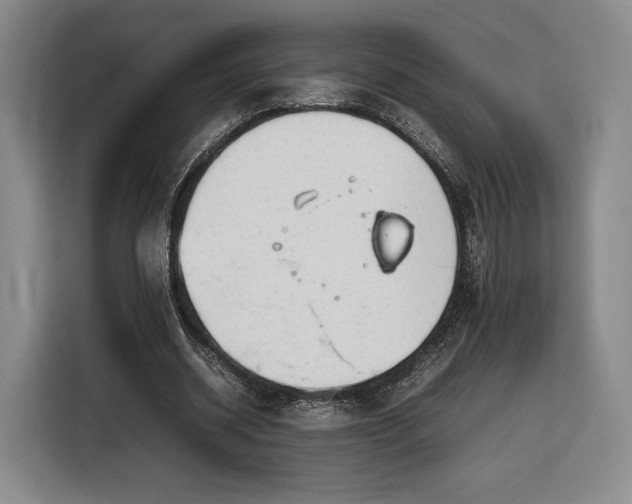 X0000116310534200912071310