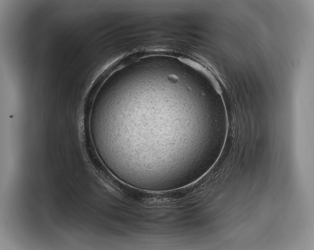 X0000116310535200912071310