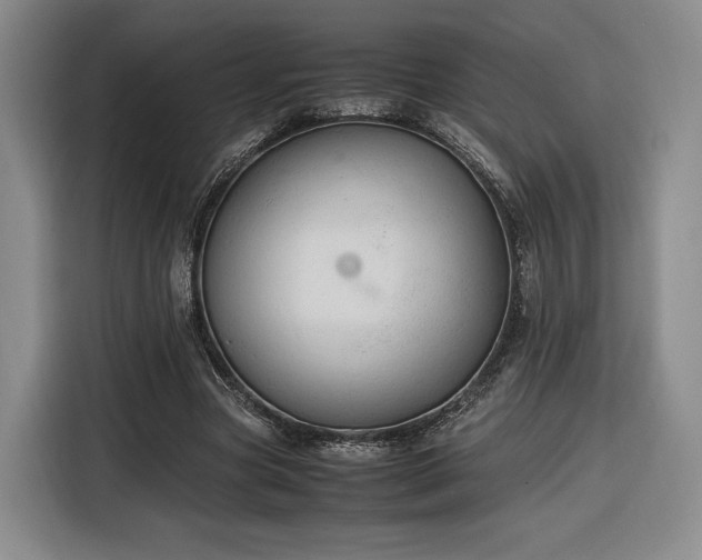 X0000116310537200912071310