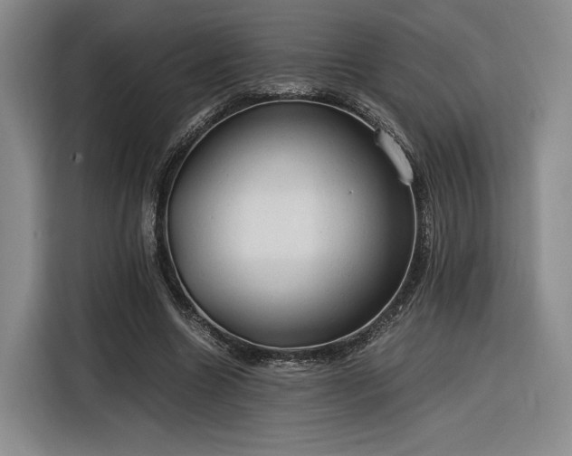 X0000116310538200912071310