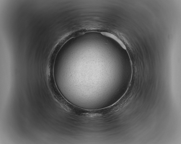 X0000116310539200912071310