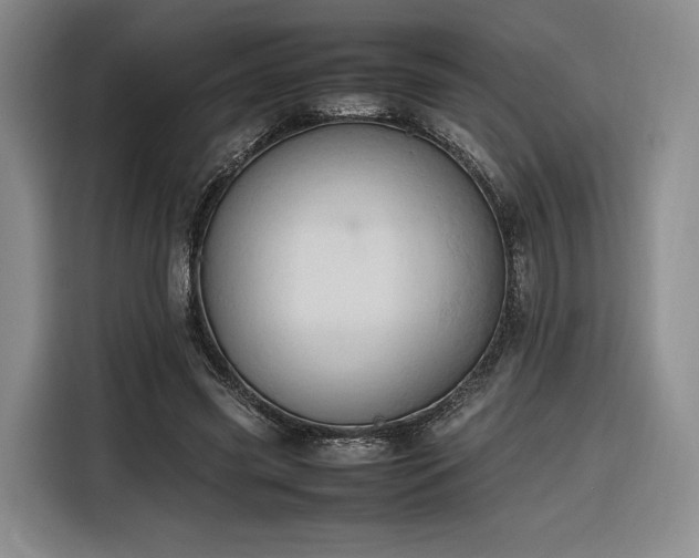 X0000116310541200912071310