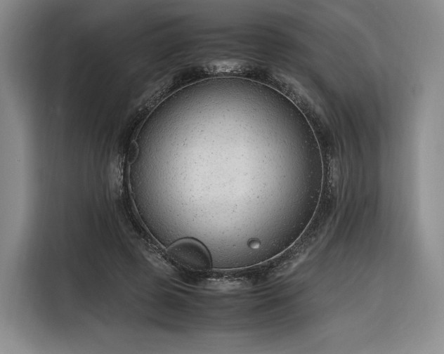 X0000116310545200912071310