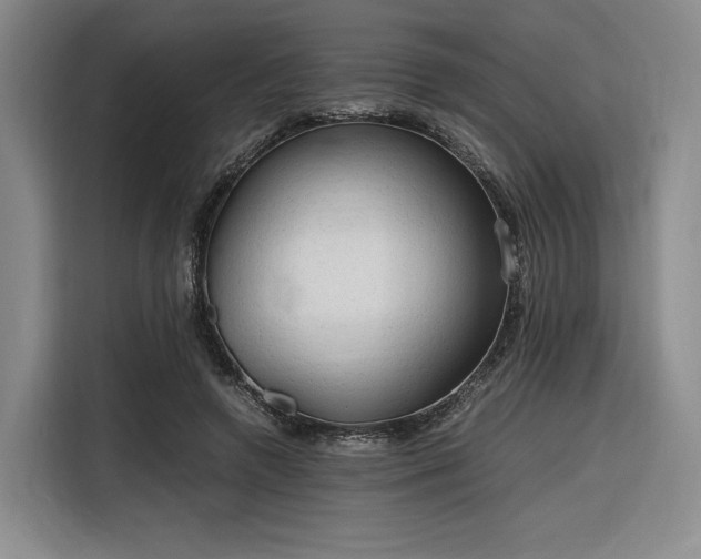 X0000116310546200912071310