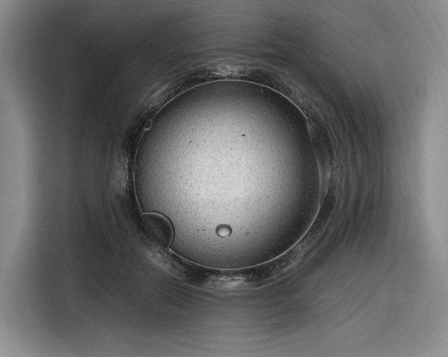 X0000116310554200912071311