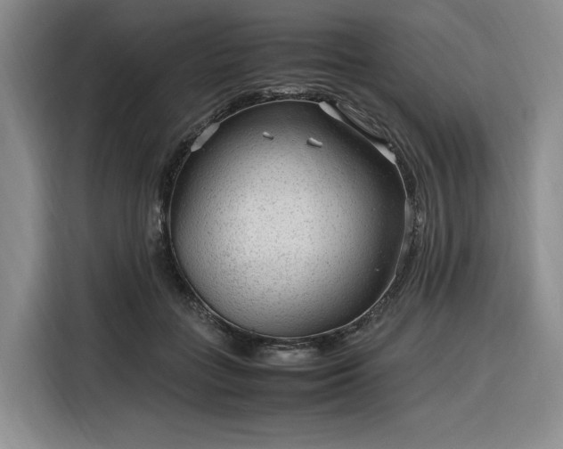 X0000116310555200912071311