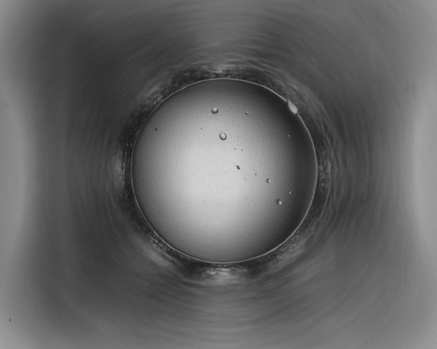 X0000116310558200912071311