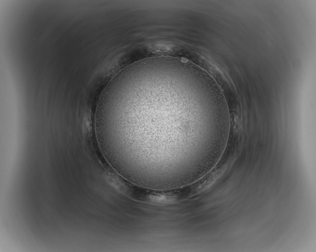 X0000116310561200912071311