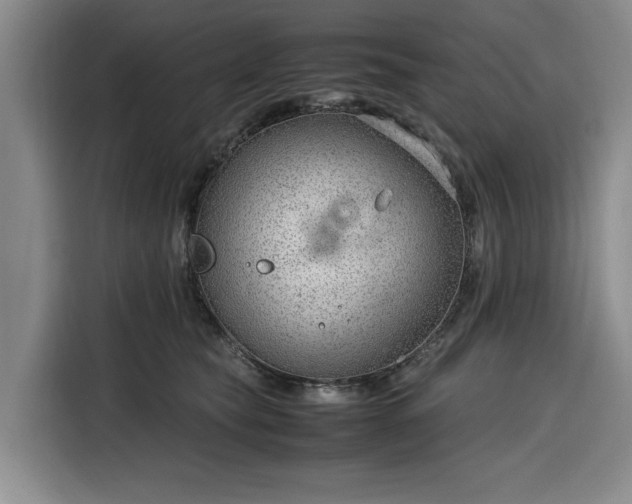 X0000116310565200912071311