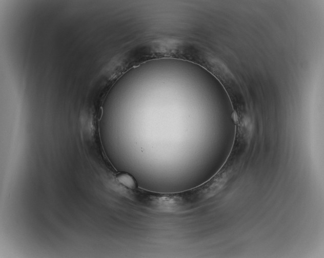 X0000116310566200912071311