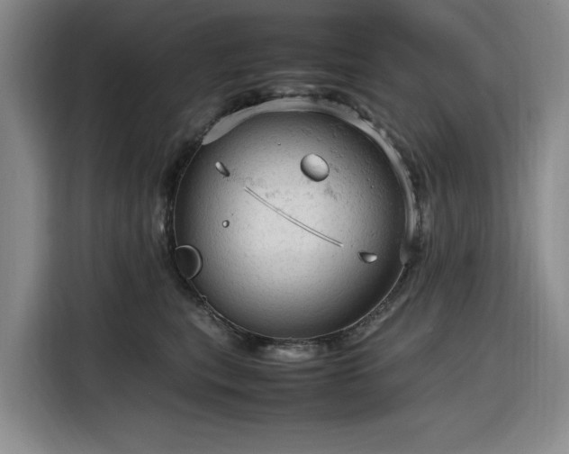 X0000116310567200912071311