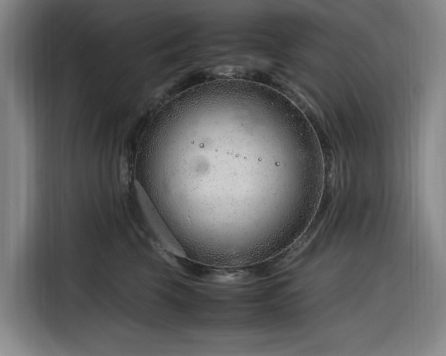 X0000116310569200912071311