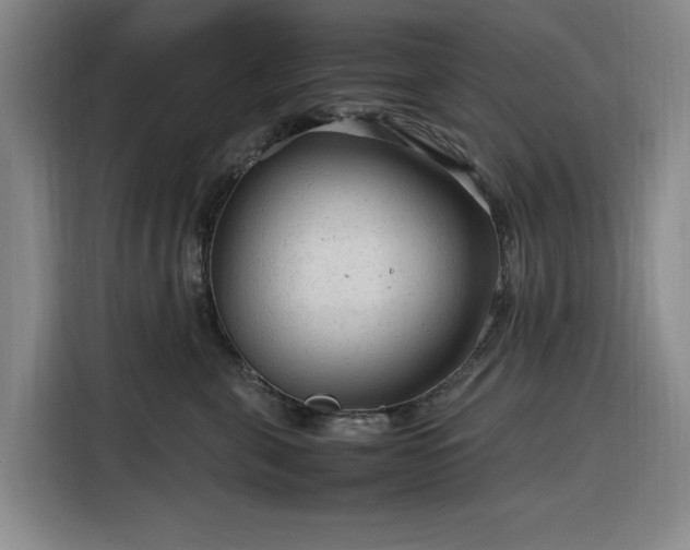 X0000116310571200912071311