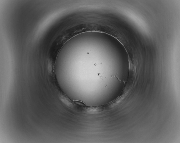 X0000116310574200912071311