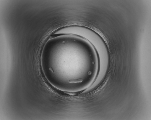 X0000116310577200912071310