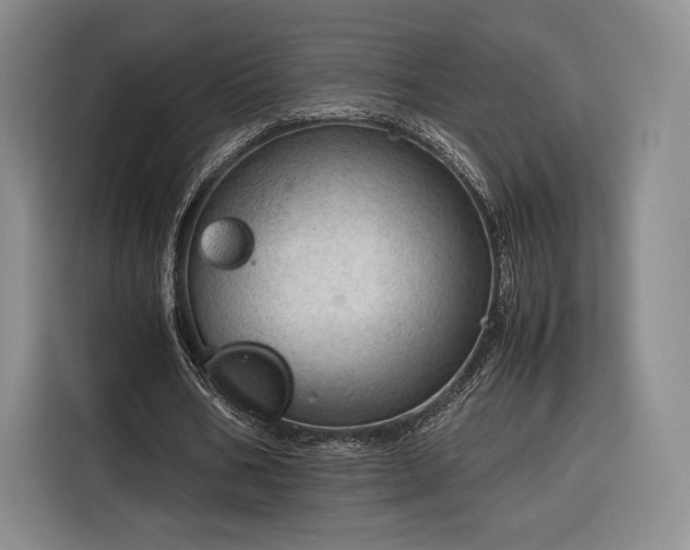 X0000116310578200912071310