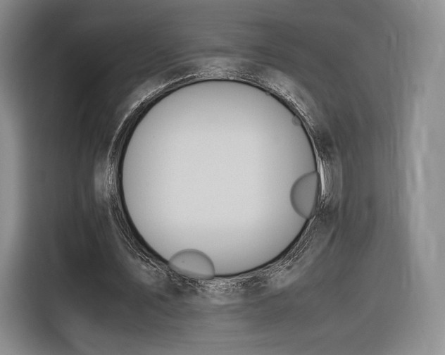 X0000116310579200912071310