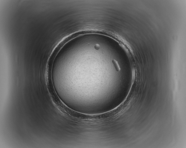 X0000116310580200912071310