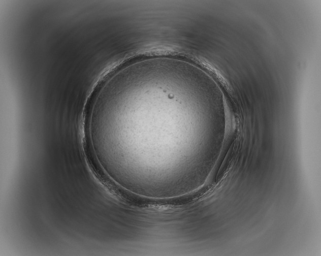 X0000116310582200912071310