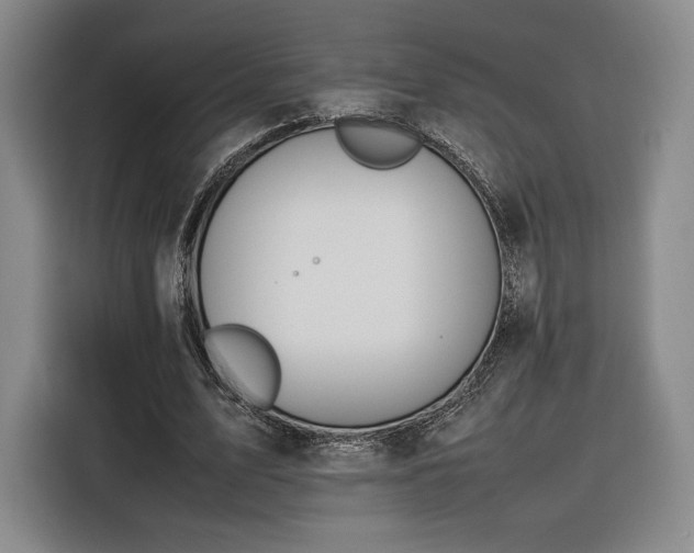 X0000116310583200912071310