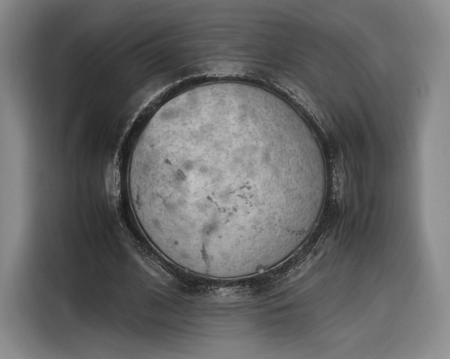 X0000116310584200912071310