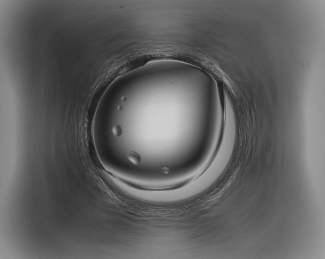 X0000116310585200912071310