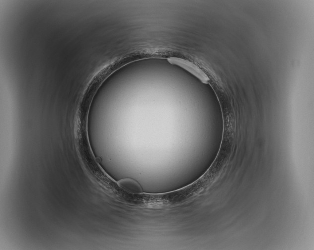 X0000116310587200912071310