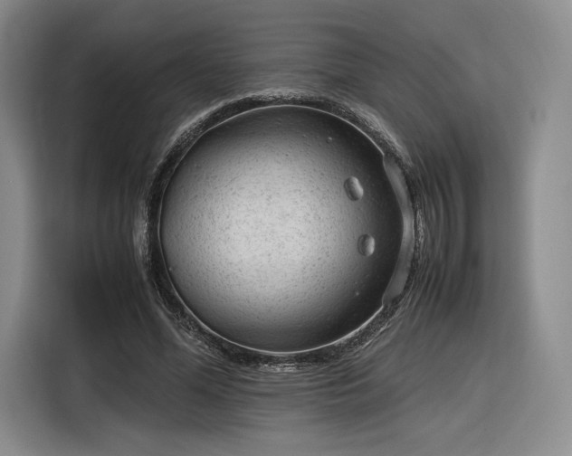 X0000116310588200912071310