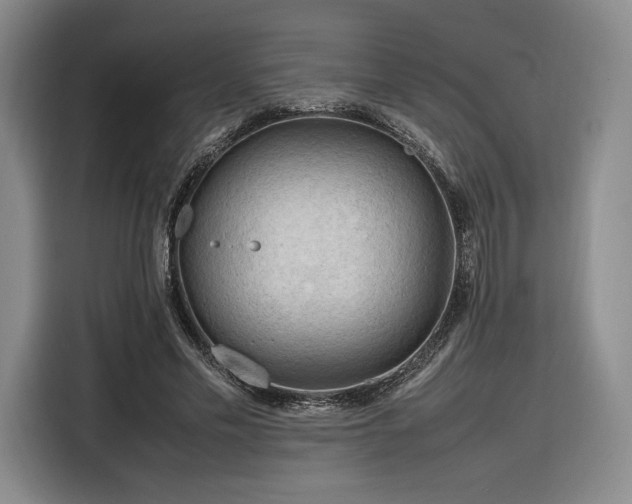 X0000116310589200912071310