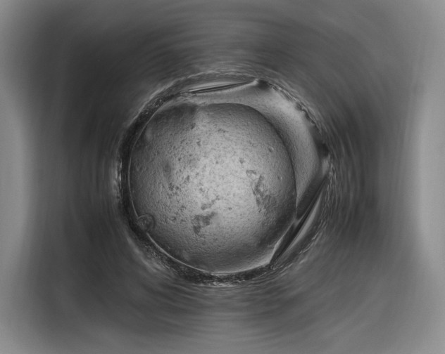 X0000116310592200912071310