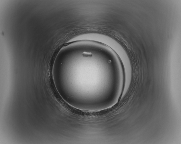 X0000116310593200912071310