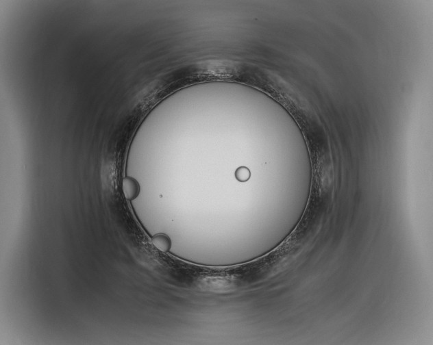 X0000116310595200912071310