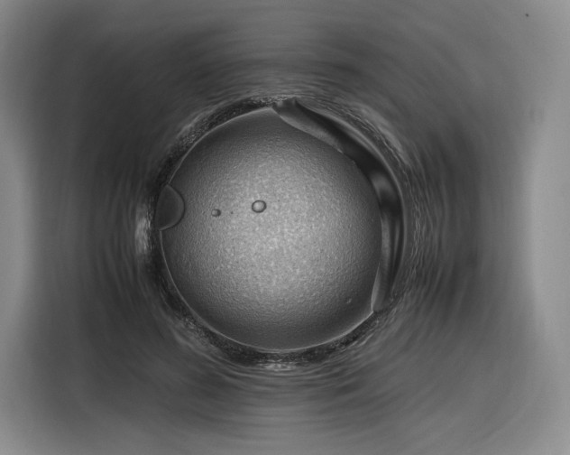 X0000116310596200912071310