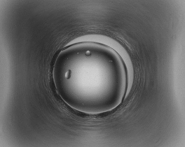 X0000116310597200912071310