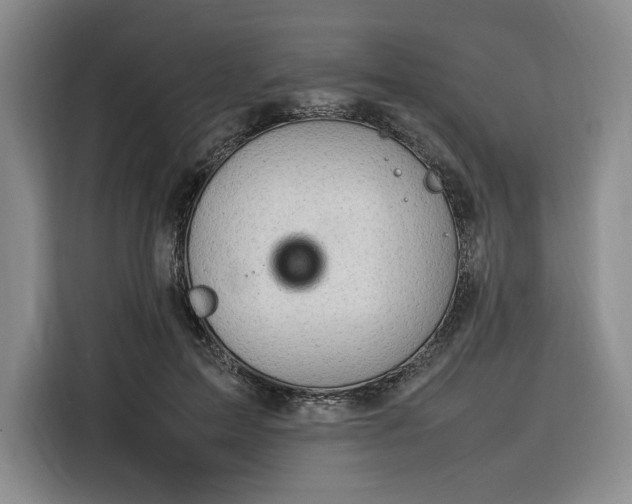 X0000116310599200912071310