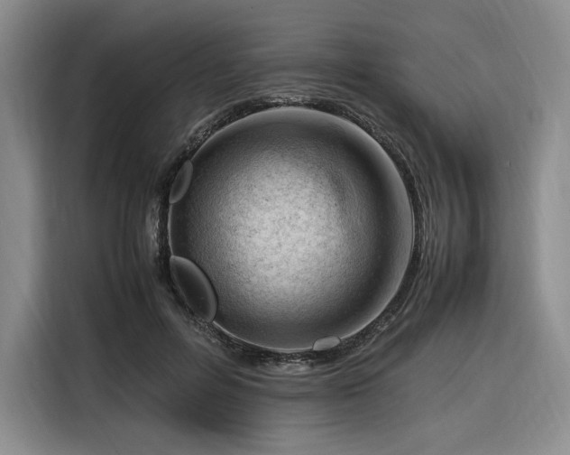 X0000116310600200912071310