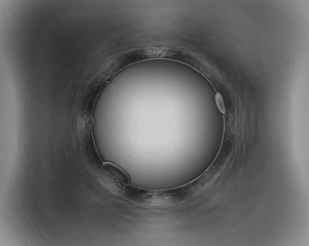 X0000116310601200912071310