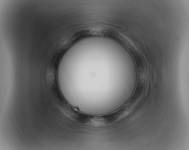 X0000116310603200912071310