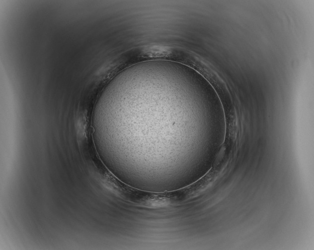 X0000116310604200912071310