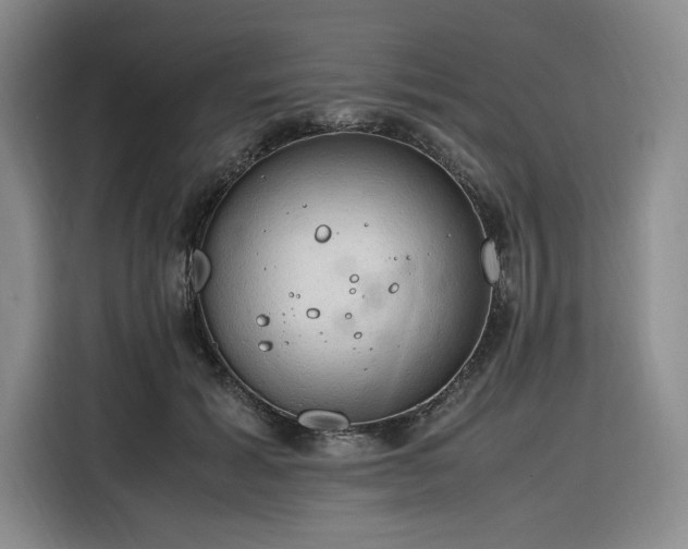 X0000116310605200912071310