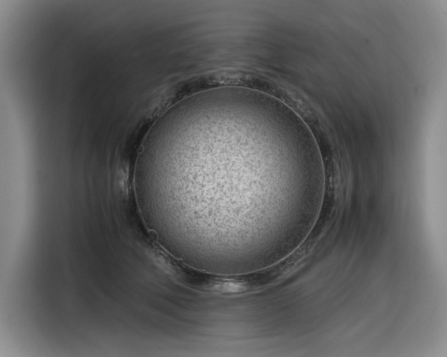 X0000116310610200912071310