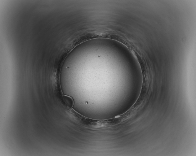 X0000116310612200912071310