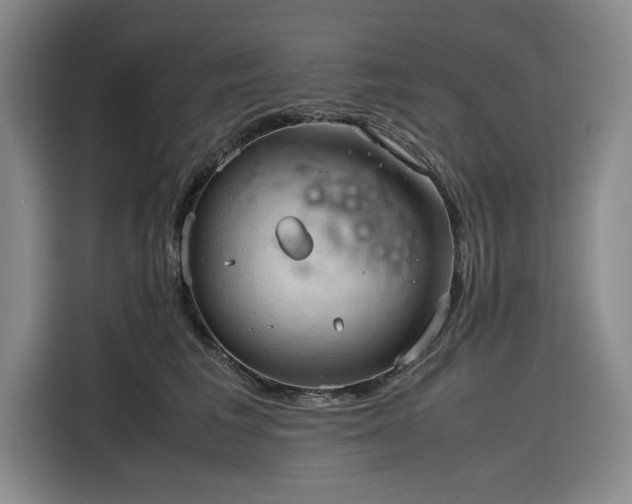 X0000116310613200912071310