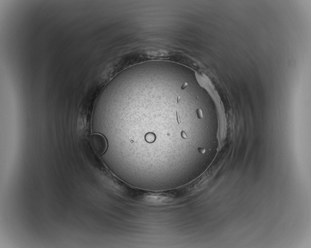 X0000116310614200912071310