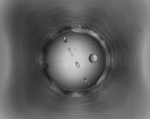 X0000116310616200912071310