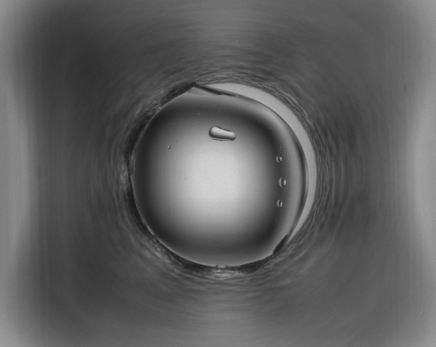 X0000116310617200912071310